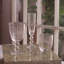 Glass Venice Wine Glass