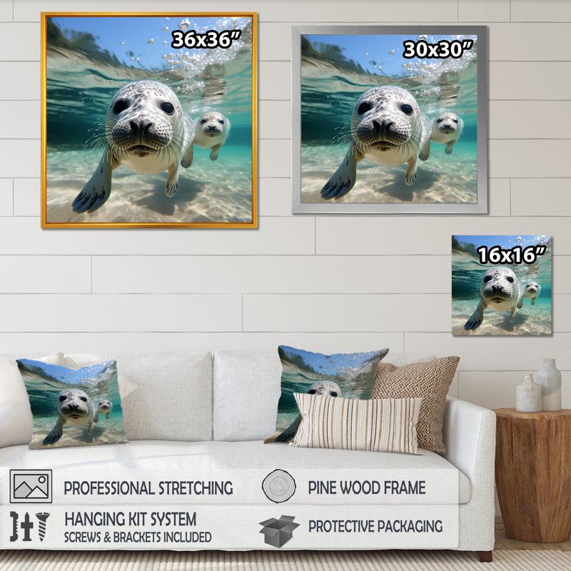 «Marine Whispers», lions de mer en jeu III -  / otarie, Cadre flottant blanc, H 30 po x l 30 po x P 1,5 po