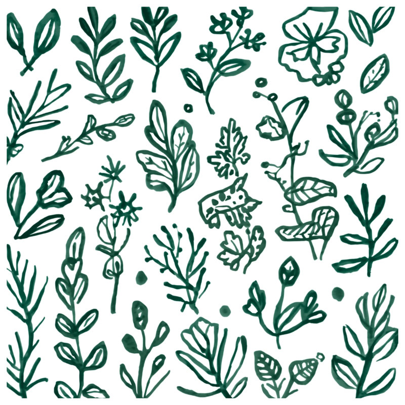 Green Botanical Illustrations Comforter, Twin Extra Long