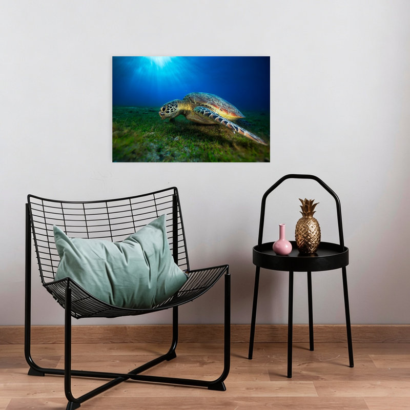 Sea Turtle Sun Rays Peaceful Serene Vibrant Turtle Nature Ocean Wall Art Print 1 Piece Wrapped Canvas Wall Art