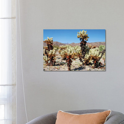Cholla Cactus by Brian Wolf - Wrapped Canvas Print