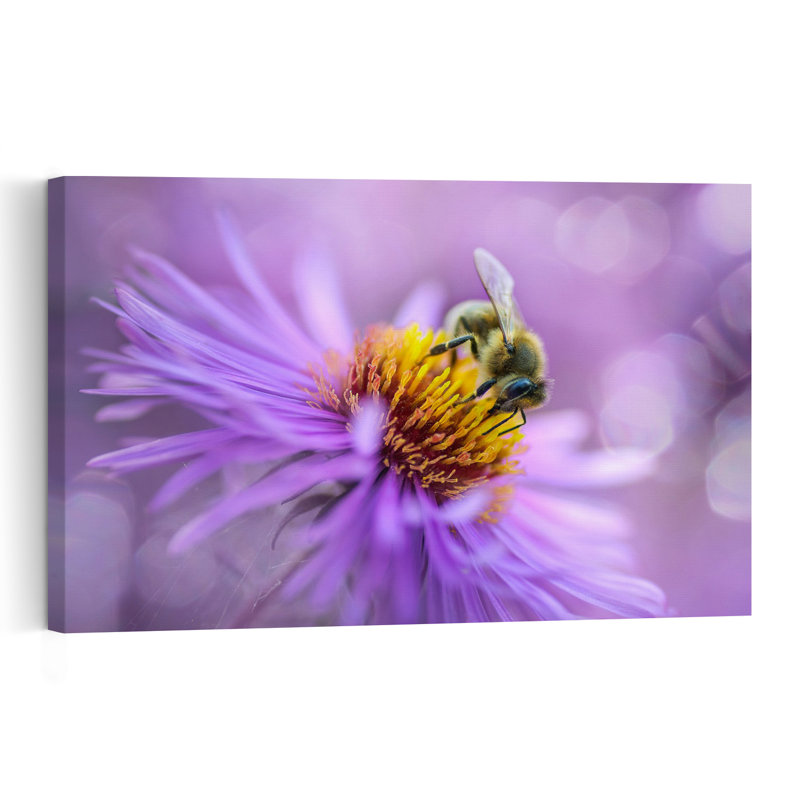 Vibrant Purple Bee Delicate Vibrant Bee Flower Nature Wall Art Print 1 Piece Wrapped Canvas Wall Art, 60.96cm H x 91.44cm W
