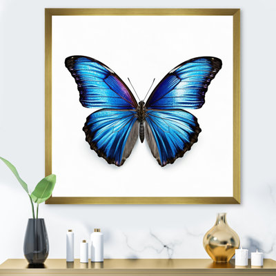 " Vibrant Blue Butterfly I "