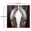 Peinture à l'huile sur bois Equus Diptych 60 x 60