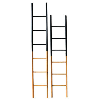 VIP Metal 71 in. Black 2-Color Ladder Set of 2
