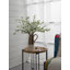 Branche de pommier
