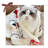 Dog Blankets