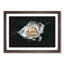 A White Rose - Picture Frame Graphic Art Print-56875871-56875877