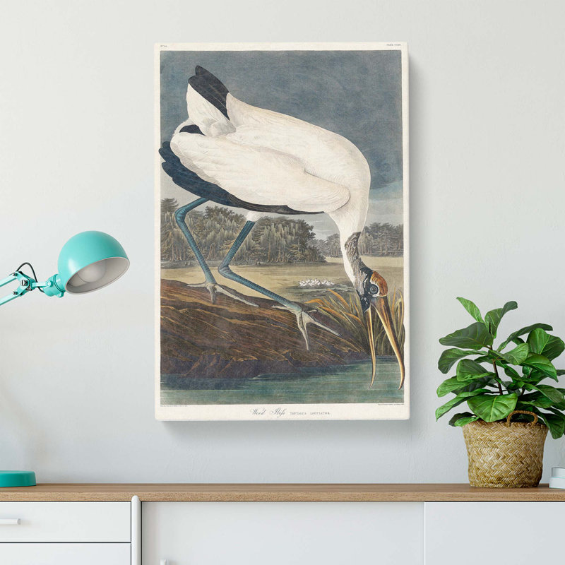 Wood Stork by John Audubon - Wrapped Canvas Painting, 60cm H x 40cm W x 3cm D