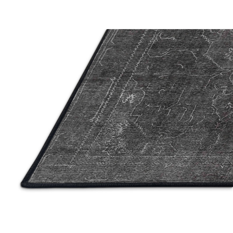 Akara Oriental Indoor Rug, Rectangle 2' x 3'