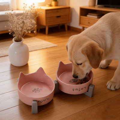 Cuvette double pour chien et chats en céramique avec bol pour chien