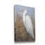 « White Heron II », reproduction d’art sur toile tendue-1571833008