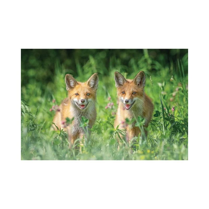 Brothers 1 Piece Wrapped Canvas Wall Art, 66.04 cm H x 45.72 cm W x 1.91 cm D