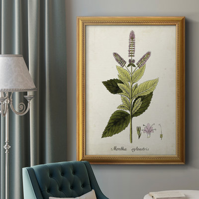 Toile encadrée de qualité supérieure antique botanique VI - prête à être accrochée