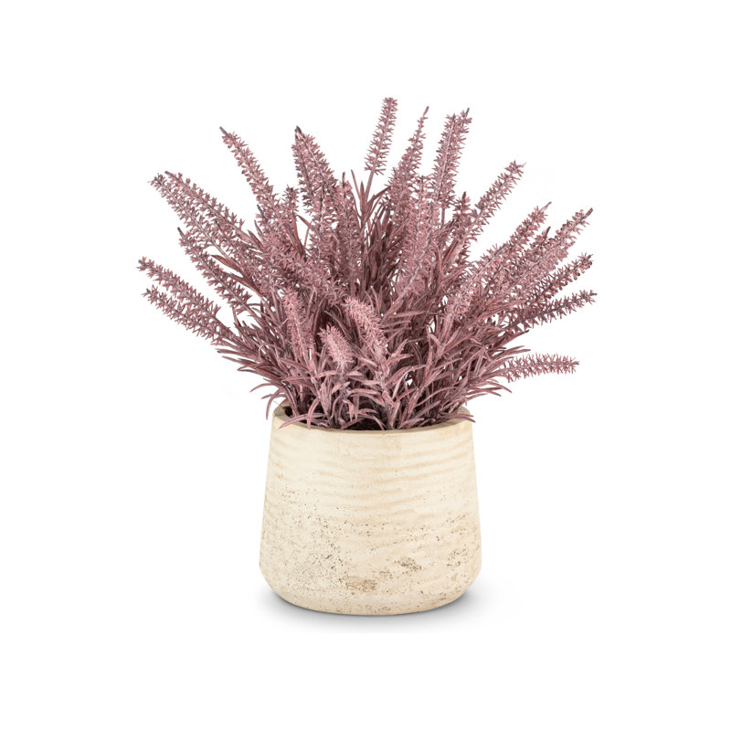 Artful Interiors Purple Wheatgrass