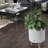 Modena Self-Watering Planter with Stand-69678201-69678206