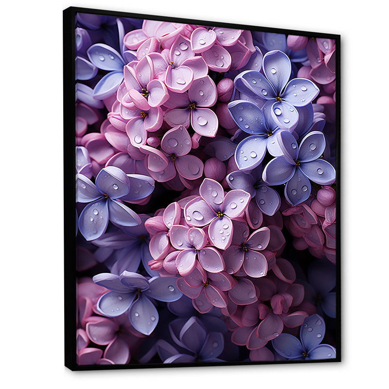 Vibrant parfum Lilac Blossoms II - impression, Cadre flottant noir, H 40 po x l 30 po x P 1,5 po