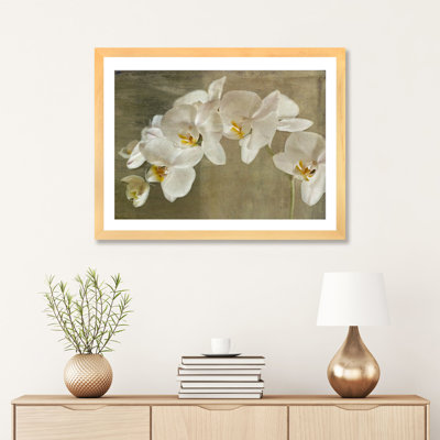 Orchidée peinte - reproduction d'art