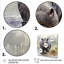 Hippopotame gris serein majestueux - Hippopotame-695400414-695400410