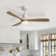 Nicola 52'' 3 - Blade Modern Ceiling Fan with Remote Control and Light Kit