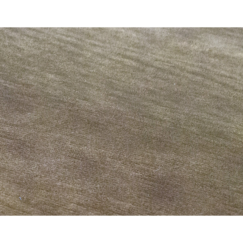 Tapis beige noué à la main de haute qualité