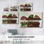 " Christmas 3 Winter Labs "-1862205209