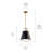 Liebenthal 1-Light Black with Champagne Bronze trim Metal Pendant-1757507007-1757507004-1757507005