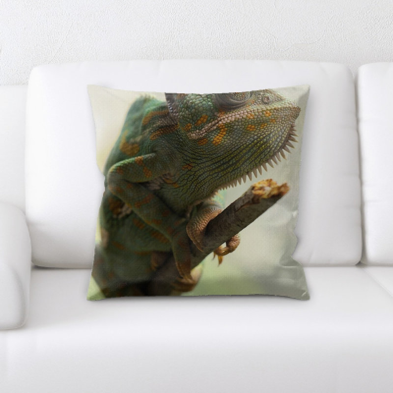 Coussin du yémen chameleon