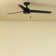 44" Cassius 3 - Blade Outdoor Standard Ceiling Fan with Pull Chain
