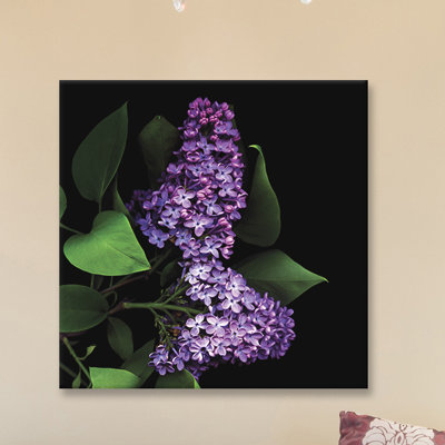 " Deep Purple " by Magda Indigo