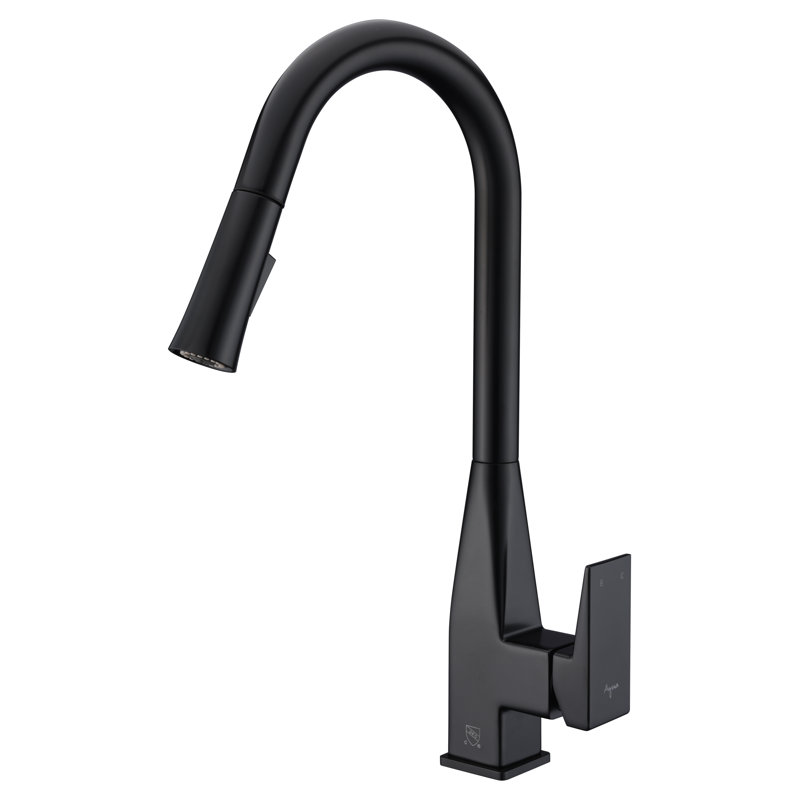 AGUA CANADA Mica Pull Out Kitchen Faucet