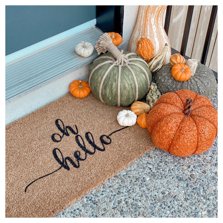 Trinx Ebrar Non-Slip Outdoor Doormat