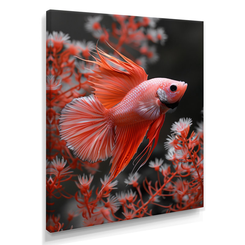 Monochromes rouges et gris - aquariums, reproduction d'art mural, Toile tendue, H 16 po x l 32 po
