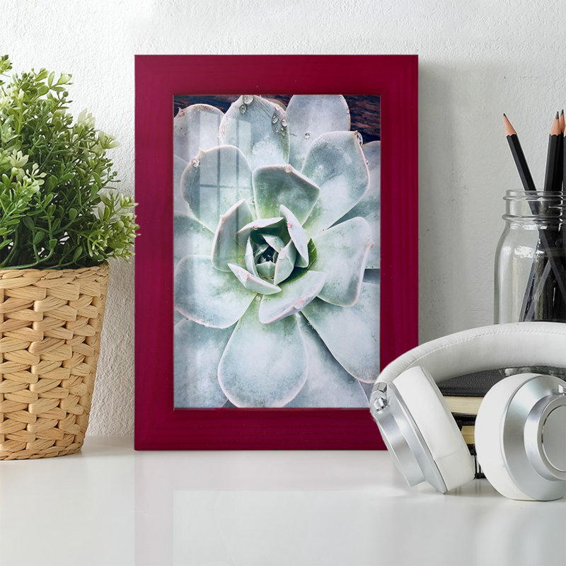 Pastel Succulent Beauty IV, reproduction d'art encadrée, H 7 po x l 5 po x P 1 po, Rouge