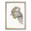 Head of a Chicken by Jean Bernard - Picture Frame Drawing Print-55579905-55579909
