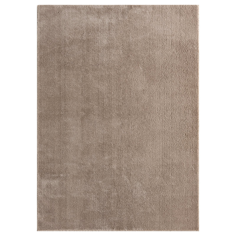 Taeler Washable Modern Living Room Rug Polyester - Anti-Slip Felt Backing SuperSoft Carpet, Dark Beige, Rectangle 80 x 120 cm