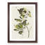 Green-Crested Flycatcher by John Audubon - Picture Frame Painting Print-55608958-55608959