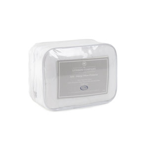 Pillow Protector (Set of 2)