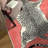 Alinda Talon Animal Print Red / Beige / Black Machine Washable Area Rug-541500894-545792323