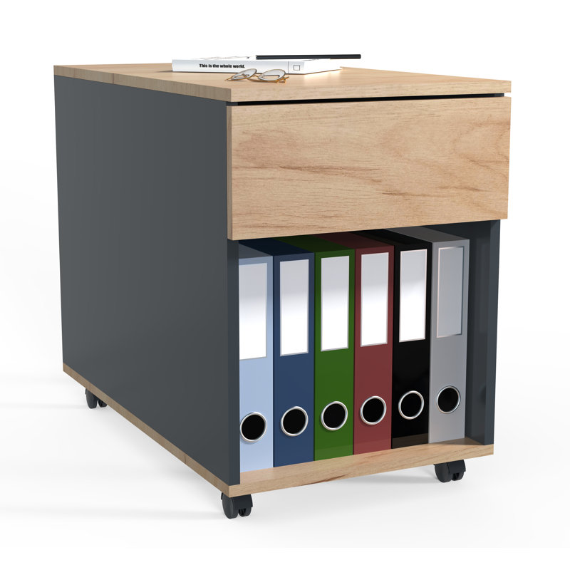 Remedios 39cm Wide File Cabinet, Black/Brown, 70cm H x 39cm W x 55cm D