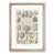 Oak Framed selected