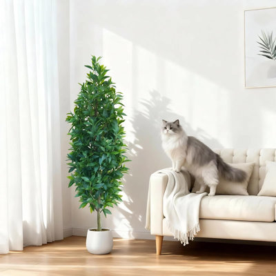 Artificial Bay Laurel Tree, 59.1 in. Faux Laurel Plant with Realistic Silk Leaves, Adjustable Stems and Pencil Shape Design, Indoor Decorative Tree for Home Office