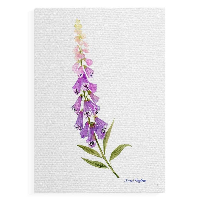 Annie's Foxglove II - Impression sur toile seulement - NON-CADRE, H 36 po x l 24 po