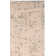 Coyer Performance Oriental Rug