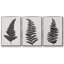 "Forest Fern I", ensemble de 3 toiles encadrées-97796022-97796019