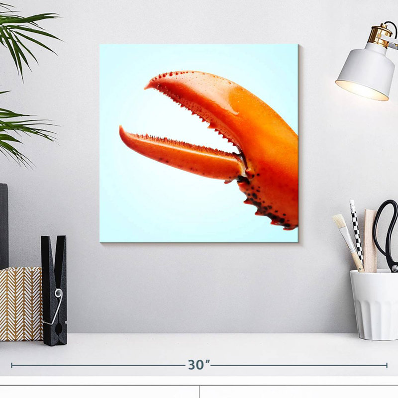Brampt Red Lobster Claw, 16" H x 16" W