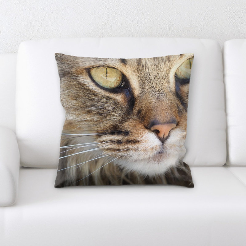 Coussin pour chat
