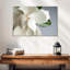 Magnolia blanc Harnek-107472030