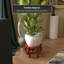 Support pour plante rond Levion-19816763