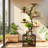 Plant stand